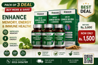 GIN-M (Ginkgo Biloba): Pack of 3 Boost Energy, Strengthen Immunity, and Enhance Memory Naturally 90 Capsules